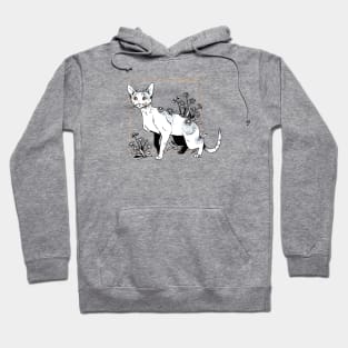 Devon rex Hoodie